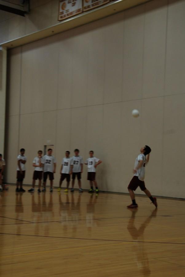 Boys volleyball has a strong finish