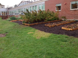 As a result of the grant the garden received, these beds are freshly mulched.