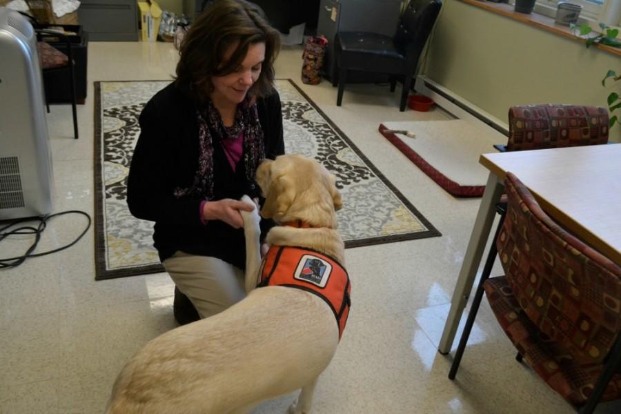 Brandy, the golden Labrador, aids school psychologist Annmarie Choque with her hearing loss.