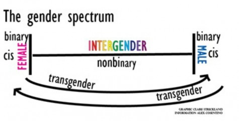 gender yay