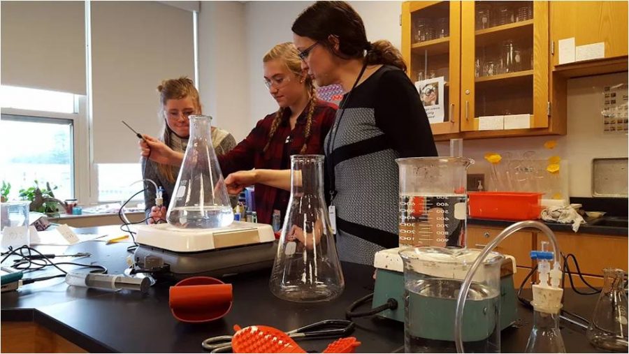 While doing a lab, sophomores Jen O’Sullivan and Ava Shaw are taught the wonders of chemistry in Catherine Burchat’s classroom.
