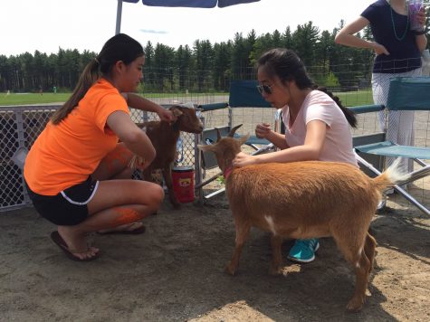 Sophomores Claire Duffy and Maria Tu interact with goats at the Health Occupations Students of America animal petting booth at Carnival.