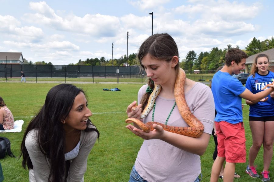 Junior Divya Bawa admires a snake held by senior Hannah Eisenhofer.