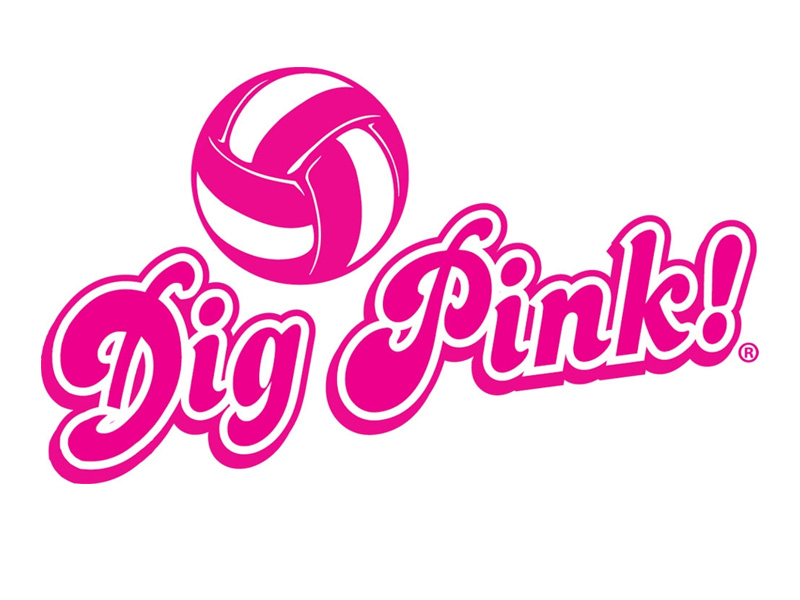 Girls volleyball hosts Dig Pink event to raise funds, awareness for breast cancer