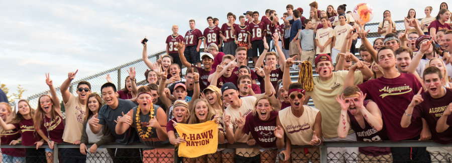 Seniors manifest their T-Hawk pride throughout the sports seasons, lending to the nostalgia once the season is over. 