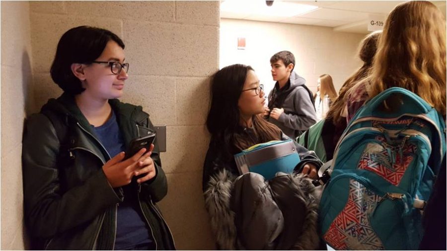 Students gather in front of their classroom after lunch and wait for the teacher to arrive. Freshman Marina Khan spends her time going through her social media and watching other students shove each other around in a playful manner.