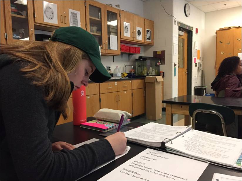 Senior Bridget Poole takes notes on the endocrine system in human physiology and anatomy class. 