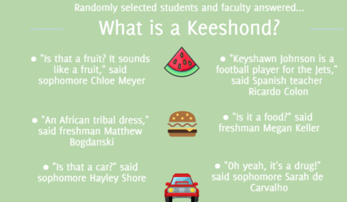What is a keeshond? (infographic)