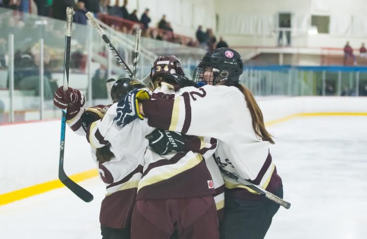 Girls hockey qualified for state semifinals for the first time.