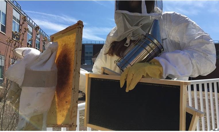 Senior Meredith Eppen carries all the equipment used for the Beekeeping club while being suited up to handle the bees which reside in the Serenity Garden.