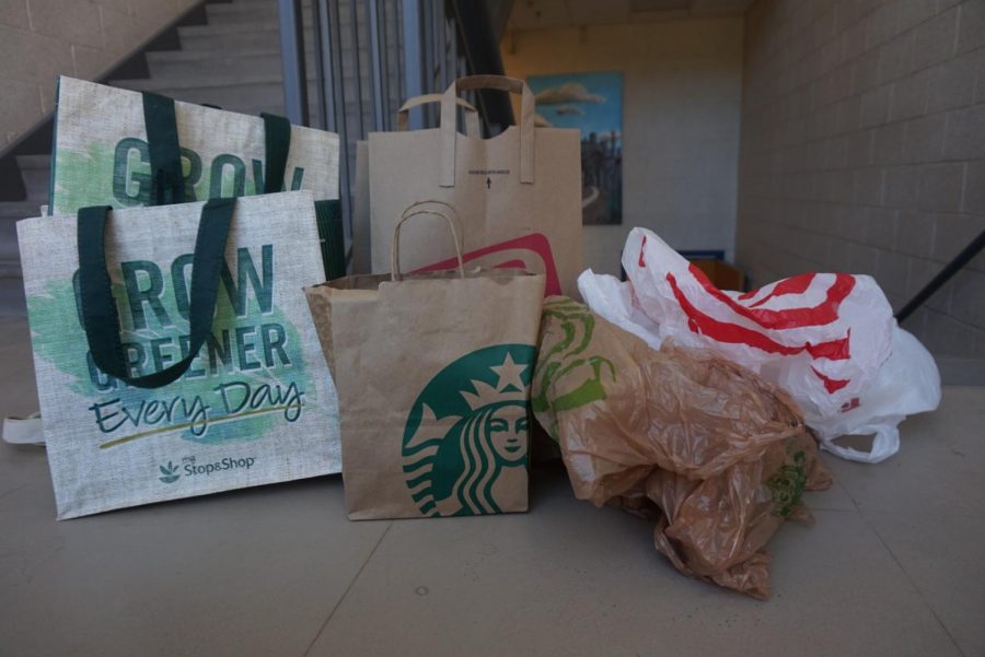 Staff writer Elyssa Rubin argues that both paper and plastic bags have negative effects on our environment. 