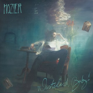 REVIEW: Hozier continues with folk, indie sound on  Wasteland baby!