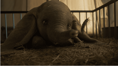 Staff writer Elyssa Rubin writes that the CGI animals, like the one of Dumbo, is one of the best features of the remake.  