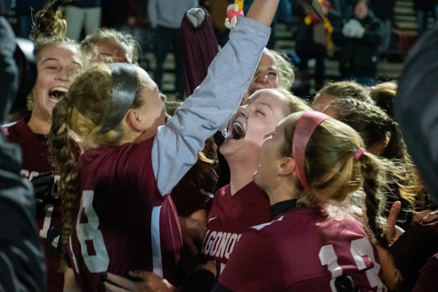 After+a+long+fought+victory%2C+the+team+celebrates+as+senior+captain+Sara+Berg+holds+up+the+trophy.+The+team+now+advances+to+the+State+Semifinals+at+Springfield+Central+High+School+on+Tuesday%2C+Nov.+19.