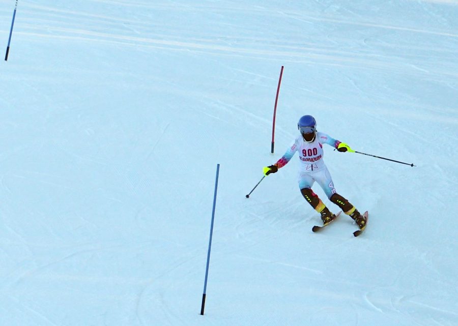 Taken from a ski race in the 2019 winter season.