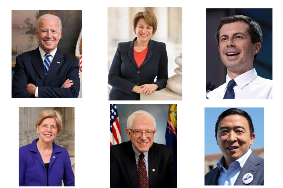 Assistant News Editors Melissa Dai and Claire Bai organize some of the major issues of each of the six biggest contenders for the Democratic Presidential Nomination.