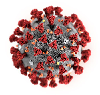 This illustration, created at the Centers for Disease Control and Prevention (CDC), reveals ultrastructural morphology exhibited by the 2019 Novel Coronavirus (2019-nCoV). Because of the coronavirus, the Chinese Exchange program was cancelled. 