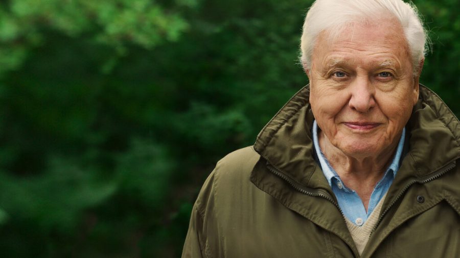 Assistant Online Editor Srishti Kaushik praises the pressing film David Attenborough: A Life On Our Planet, as it urges the audience to take action against climate change and the loss of biodiversity.