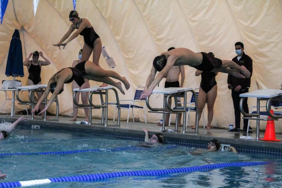 During the relay race at the February 5 swim meet, seniors Emma Shek and Brandon Saulnier dive into the pool after junior Monica Doherty and freshman Branden Yan finish their first 50 meters.
