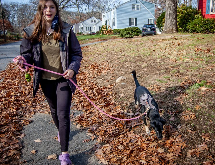 Kasey and Jadyn Jacobs walk their neighbor’s dog, Blue. This has just been one of the few perks of being a full remote student. 