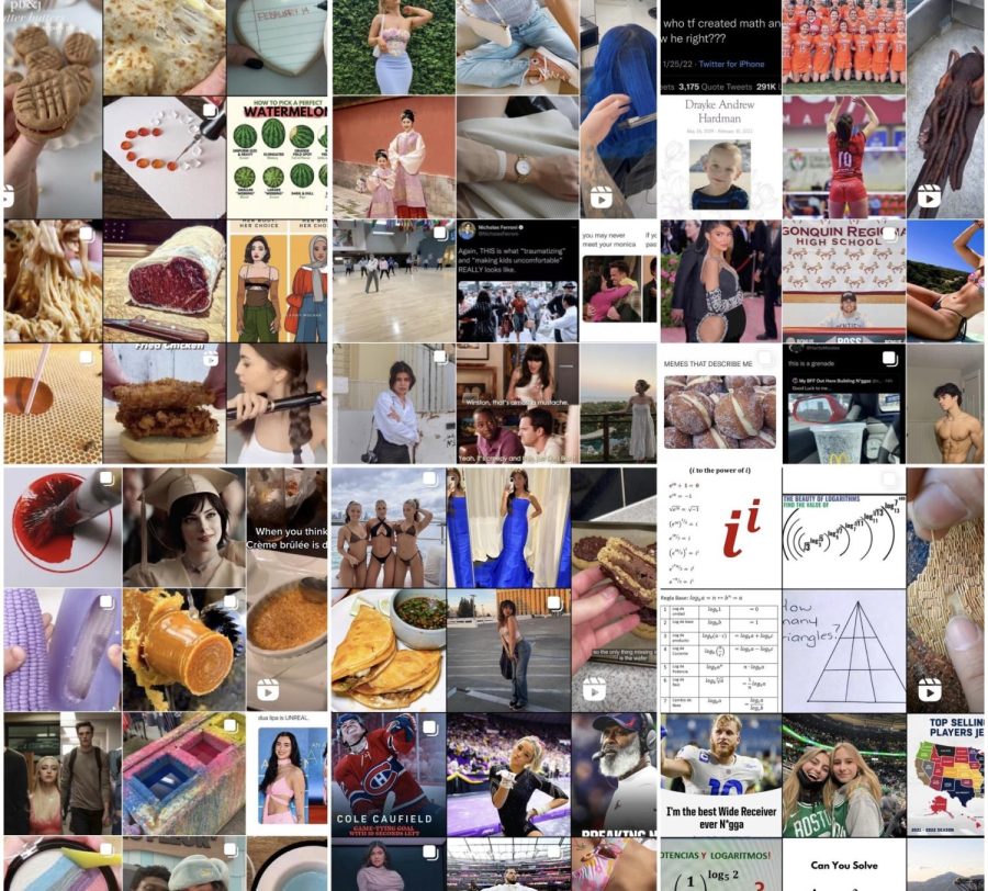 Six+students+share+screenshots+of+their+Instagram+Explore+pages.+