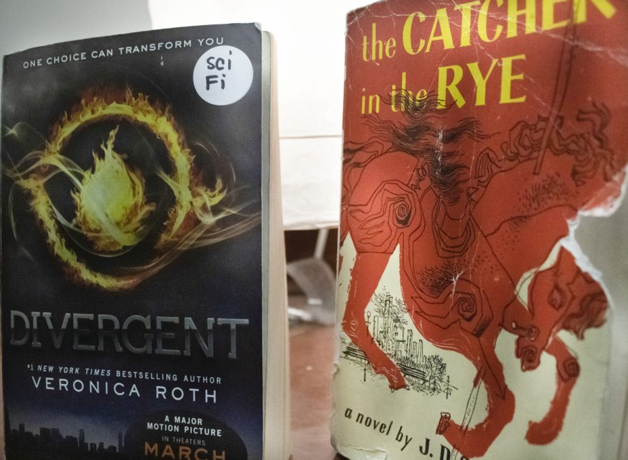 The Catcher in the Rye is a classic many students read as a part of their English class curriculum. Meanwhile, Divergent is a more modern novel which isnt commonly read in the classroom. 