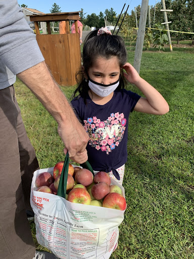 In the final weeks of Summer 2020, our family finally went out to Tougas Farm. My little sister, Dua, picks apples for the first time. Although hidden by her mask, she marched around with a smile on her face.