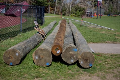New telephone poles are laid out for the new ropes course.