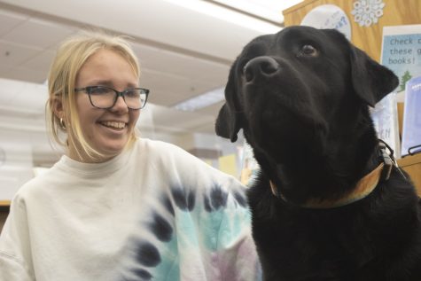 Junior Cali Tkachuk pets Parker, Algonquins therapy dog. Currently, the dogs of ten ARHS teachers are being trained to become certified therapy dogs.