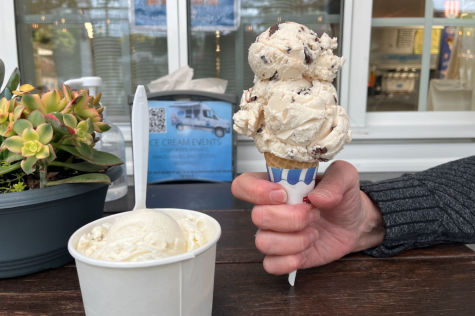 Cup or Cone? Both ice creams are delicious and ordered in medium size, provided by Trombetta’s Farm.