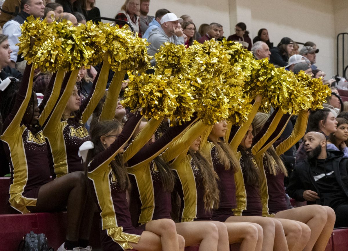The+cheer+team+supports+the+girls+basketball+team+during+their+game+against+Shepherd+Hill+on+Dec.+8.