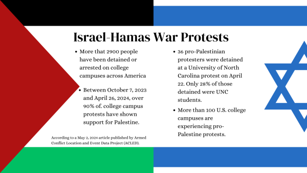 AP Government students spoke on the current Israel-Hamas War protests.