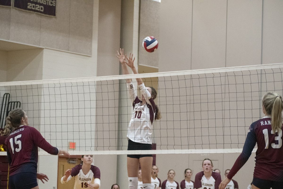 Junior Tessa Novello attempts to block a spike from a Westborough opponent.