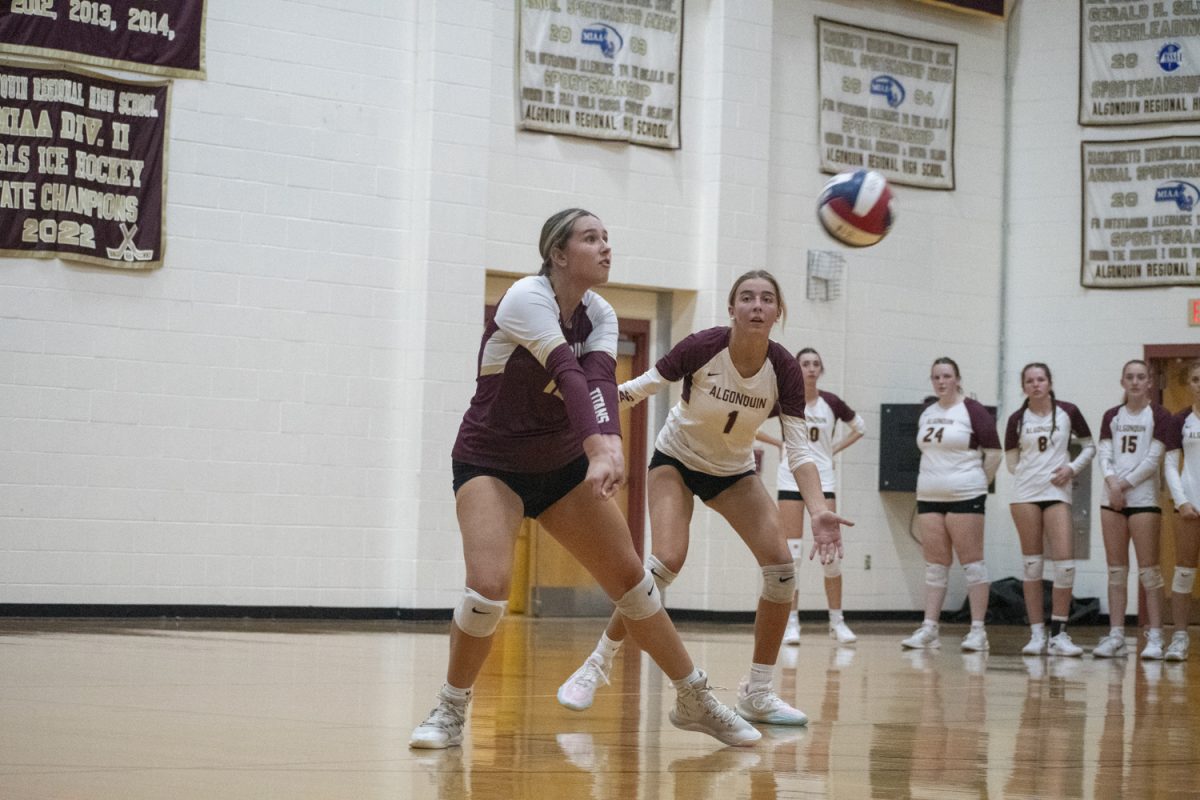 Senior Julianna Zimmer (left) bumps the ball on Sept. 17.