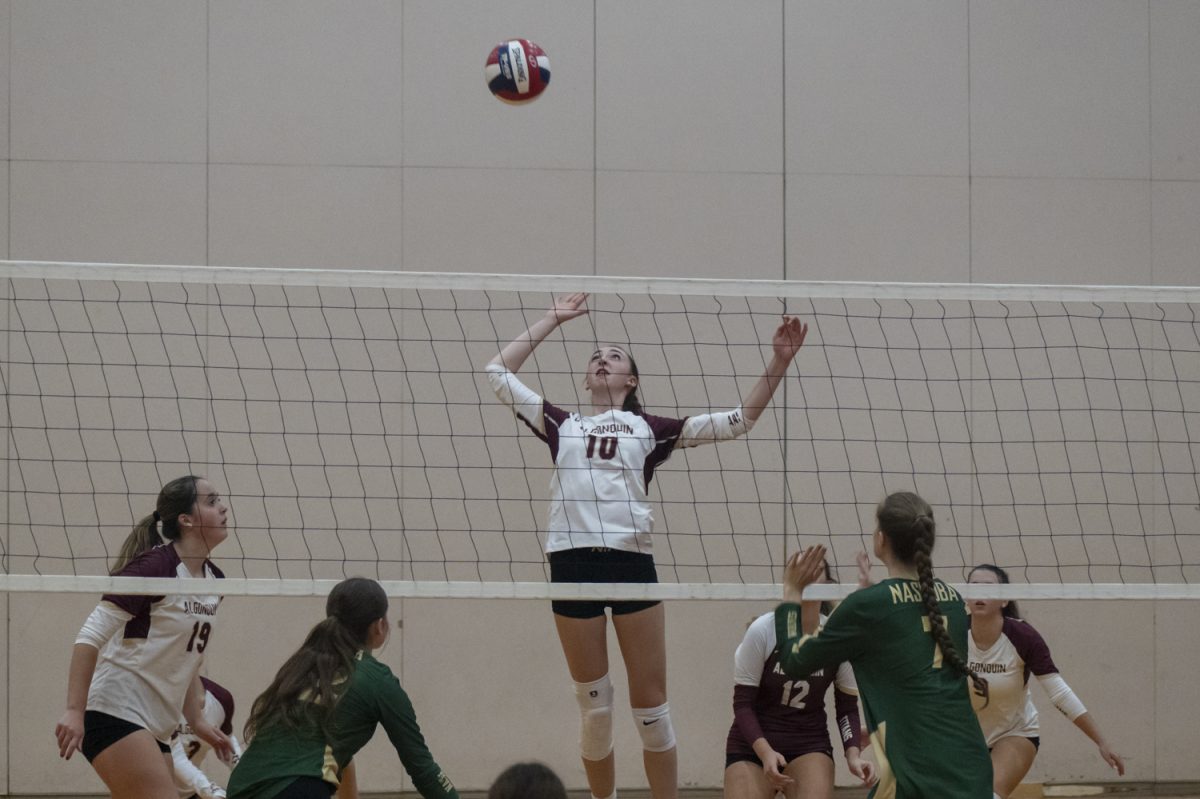 On Oct. 4, junior Tessa Novello (10) spikes the ball over the net onto the opposing team's side at Algonquin's 3-0 win against Nashoba.