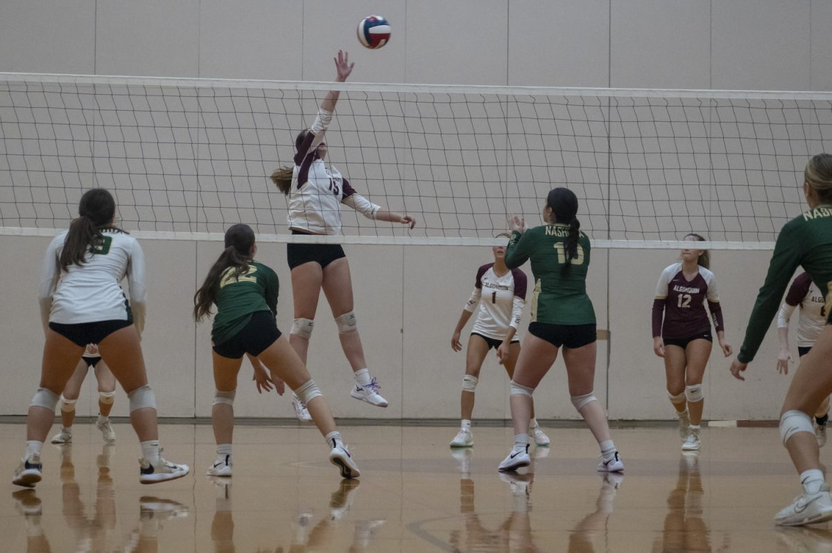 Senior Ella Poultney (19) tips the ball over the net at the 3-0 win for Algonquin on Oct. 4.