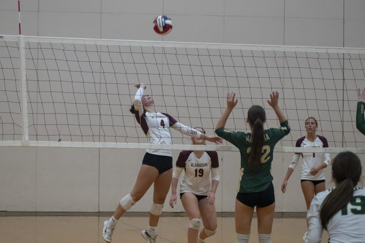 In Algonquin's 3-0 victory on Oct. 4, junior Niki Chacharone (4) jumps up to spike the ball. 