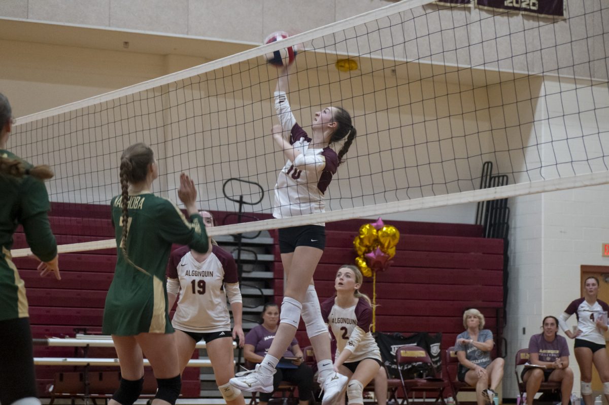 Junior Tessa Novello spikes the ball over the net onto the opposing team's side at Algonquin's 3-0 win against Nashoba on Oct. 4. 