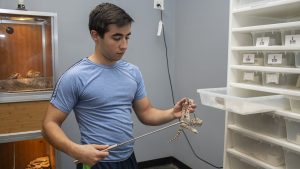 Junior Ibrahim Rowe carefully takes a small Northern Pine snake off of the hook on Oct. 29. The Northern Pine is one of the many smaller snake species Rowe has.