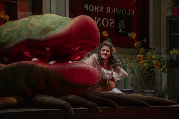 During the rehearsal for the fall musical, "Little Shop of Horrors," junior Emily Ruiz is bitten by Audrey II. Ruiz plays Audrey, a woman from Skid Row who dreams of a "picket fence" life.