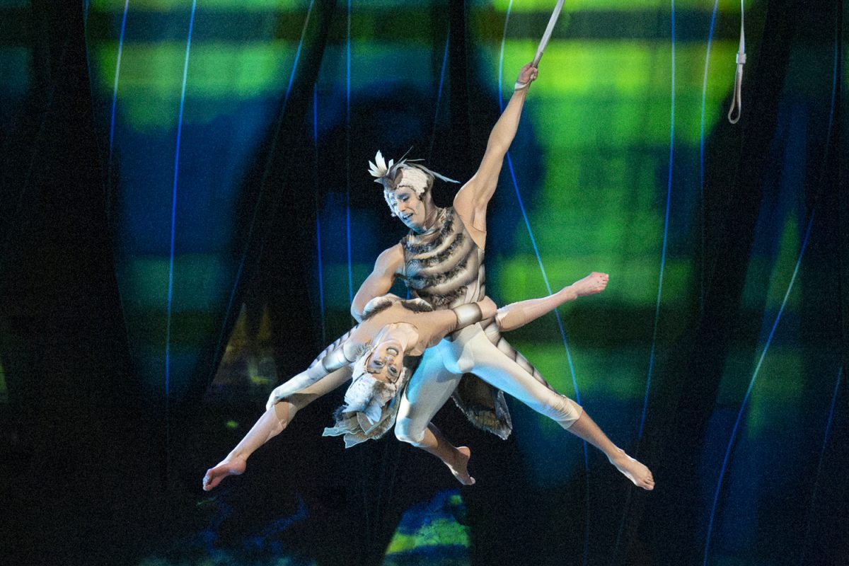 Two butterflies hang by silk during "OVO," a Cirque du Soleil show, performing an acrobatic routine on aerial straps. The crew of "OVO" is very diverse, representing 17 nationalities: Australia, Belarus, Belgium, Brazil, Canada, Chile, China, Denmark, France, Moldova, Mongolia, Russia, Spain, Taiwan, Ukraine, United Kingdom and the United States.