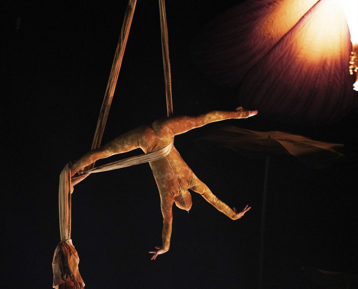 At the DCU center on Jan. 9, the Cocoon flies through the air for the first showing of the new version of "OVO" by Cirque du Soleil.
