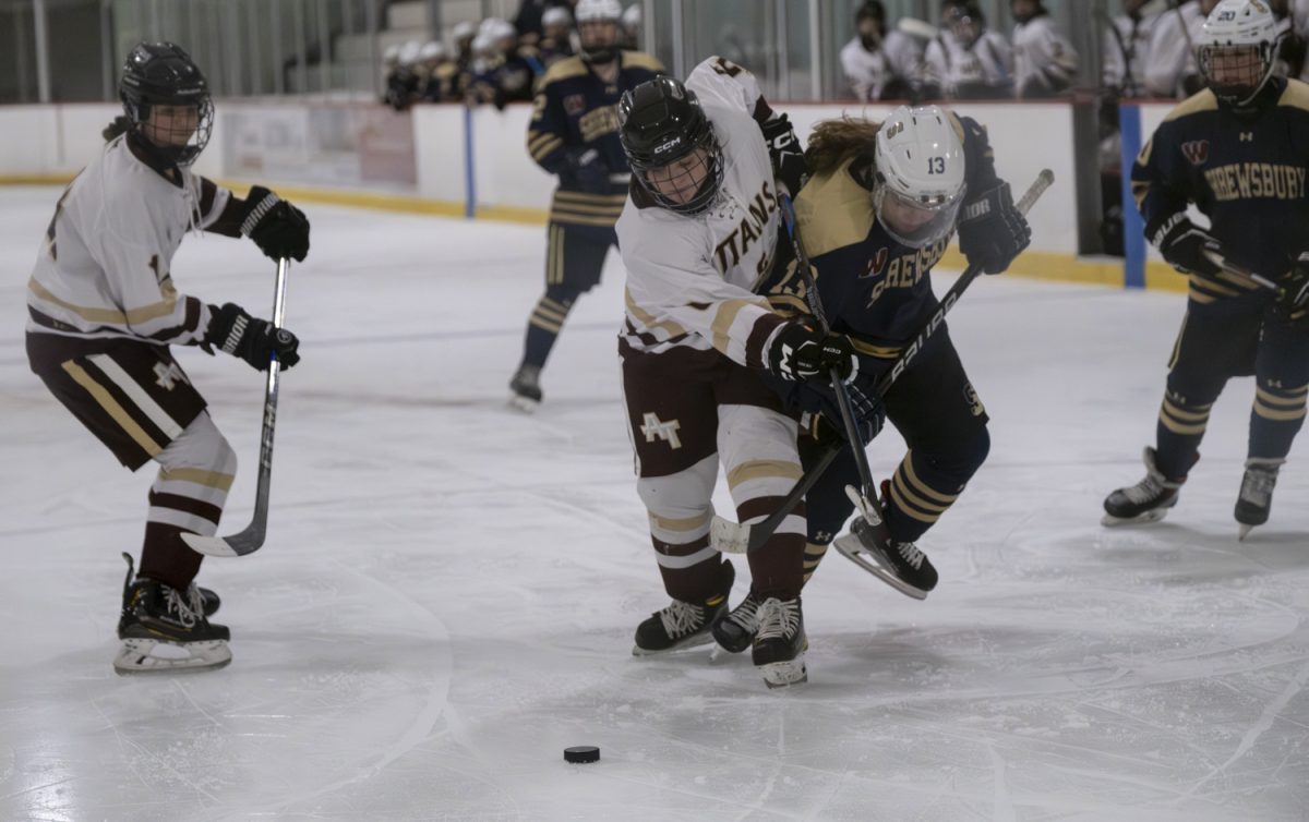 Junior Leah Rosmsey pushes the opposing team player away while trying to gain control of the puck while the score was 1-0 at the girls' hockey game against Shrewsbury.