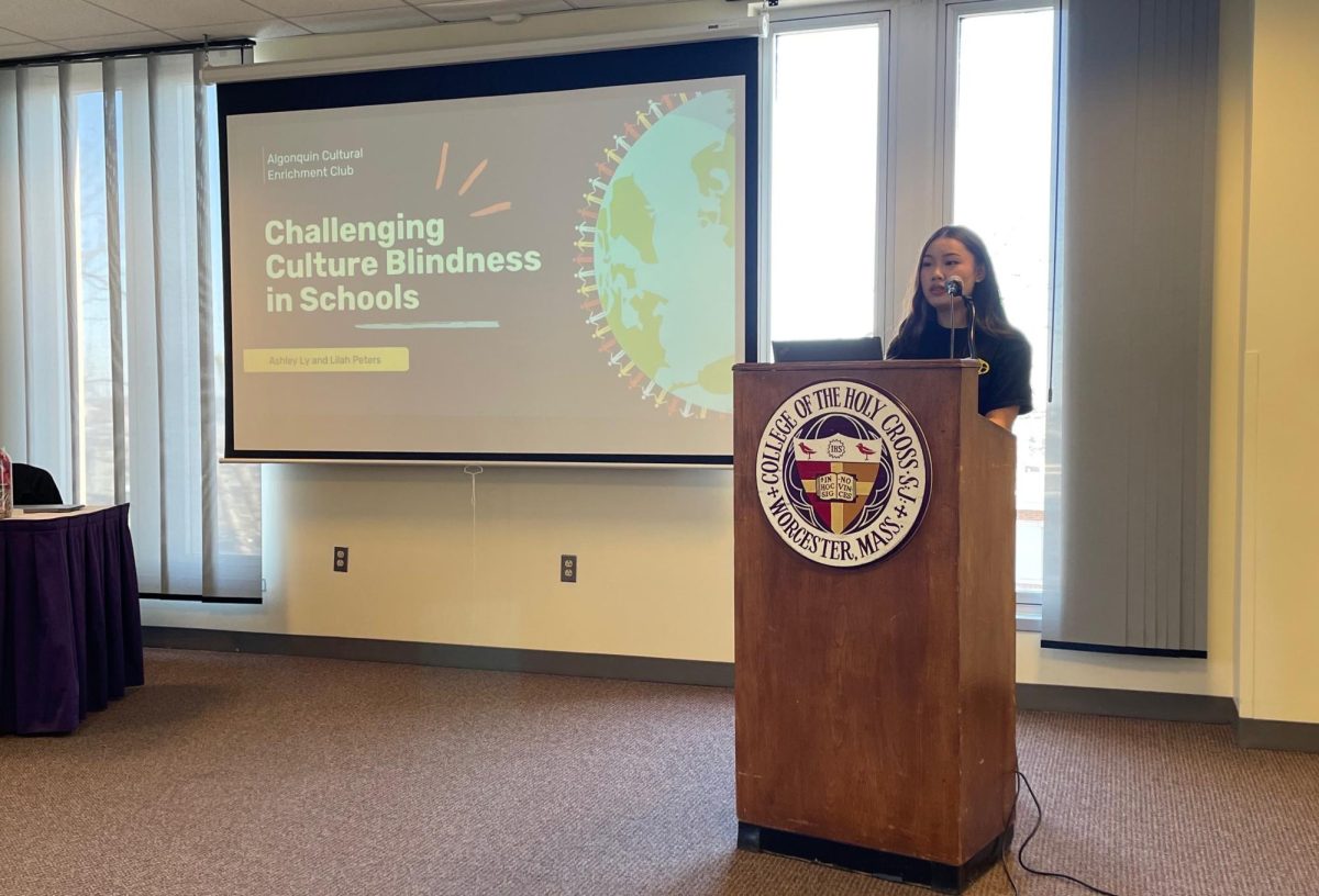 Junior ACE President Ashley Ly presents at the 8th Annual MIAA/MSAA Diversity, Equity and Inclusion Summit at the College of the Holy Cross on Jan. 17.