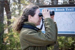 Valerie Burdette looks through her binoculars into Stirrup Brook Trail, searching for birds. The Algonquin English teacher often spends time observing the numerous species across New England.