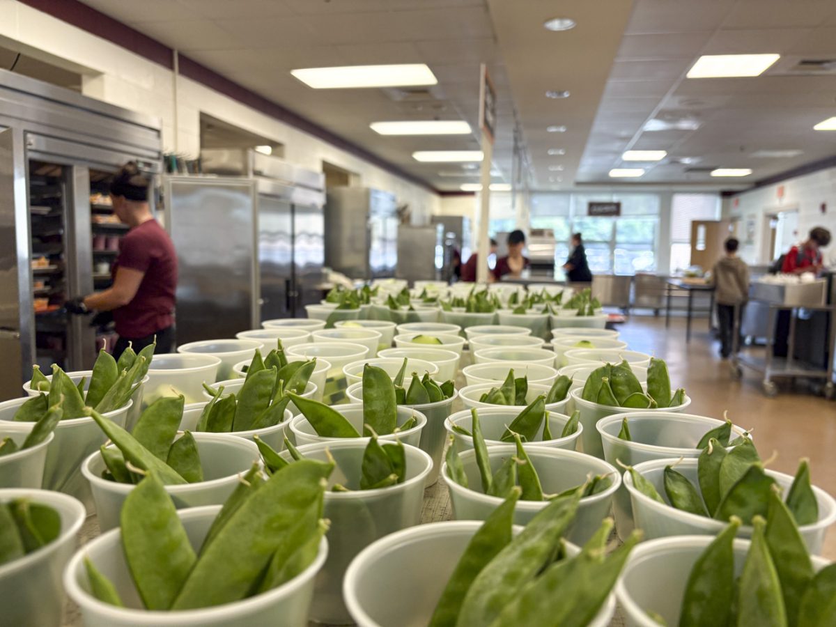 Freshly portioned and prepared snap peas are dished and ready to be served alongside the new and improved Algonquin cafeteria.