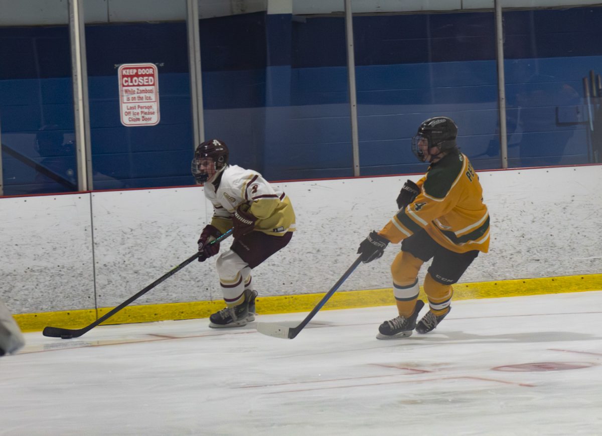 Sophomore Kyle Frutman controls the puck alongside a Grafton player.